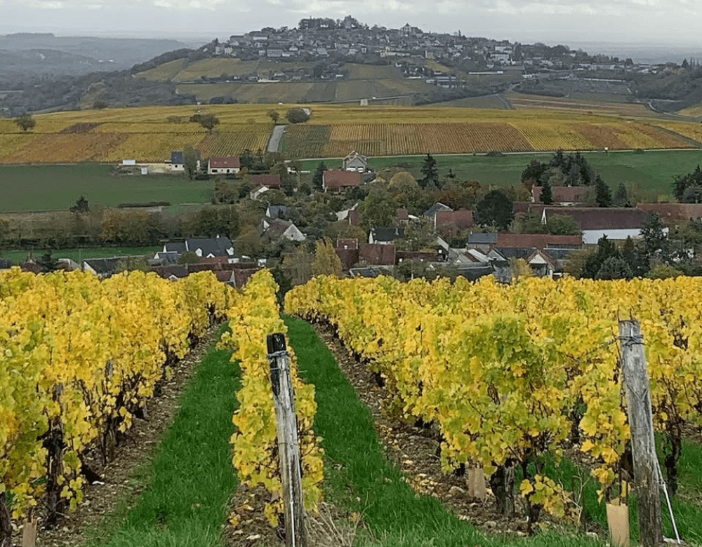 Domaine André Vatan